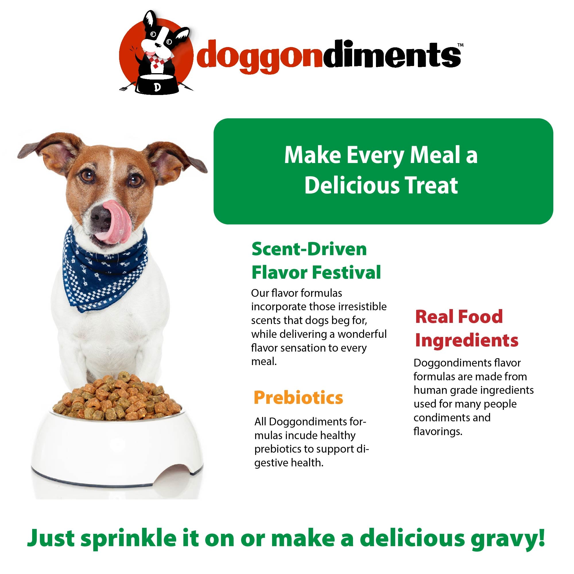 NEW Nacho Cheesy Chip Dog Food Topper Doggondiments NEW Nacho Cheesy Chip Dog Food Topper Doggondiments
